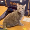 Wilbur - Photo 4