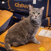 Wilbur - Photo 2