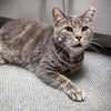 Wilbur - Photo 4