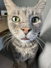 Wilbur - Photo 2