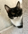 Piper - Photo 6