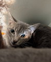 Scrumptious - Photo 5