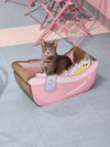 Hooba - Photo 5