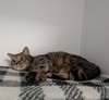 Lola - Photo 7