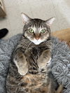 Lola - Photo 6