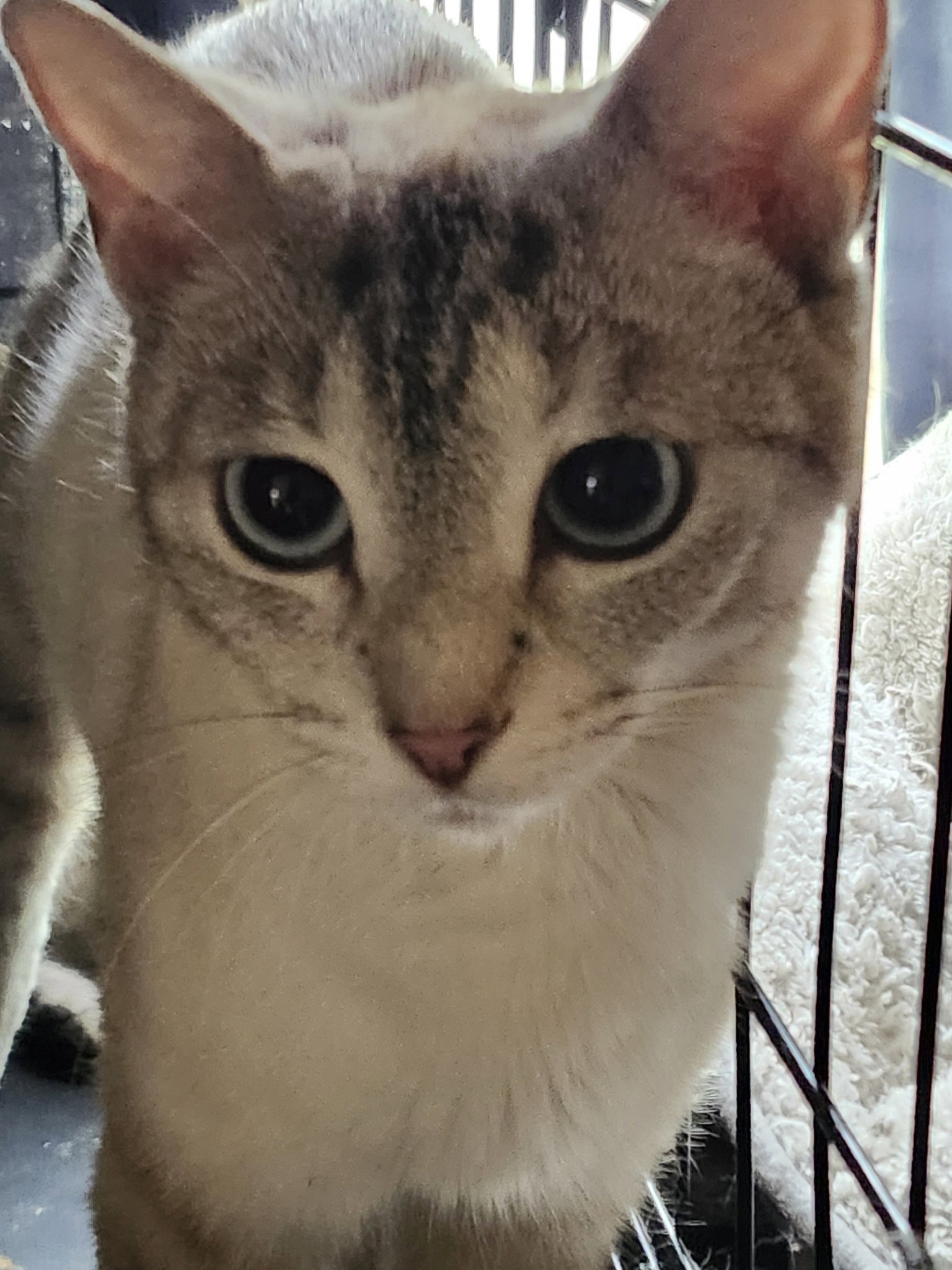 Sandra Image