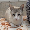Zephyr - Photo 5