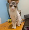Zephyr - Photo 3