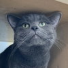 Holmes - Photo 5