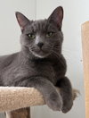 Holmes - Photo 1