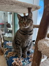 Miss Daisy - Photo 1