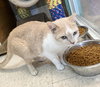 Peaches - Photo 3