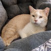 Peaches - Photo 3