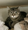 Loretta Lynn - Photo 3