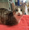 Hermie - Photo 6
