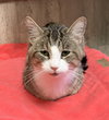 Hermie - Photo 7