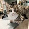 Hermie - Photo 2