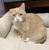 Arlo - Photo 1