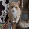 Arlo - Photo 1