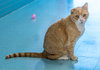 Arlo - KBC - Photo 1