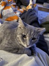 Astrid - Photo 5