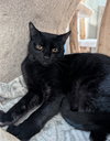 Ember - Photo 2