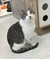 Duncan - KBC - Photo 14