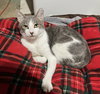 Duncan - KBC - Photo 9
