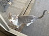 Duncan - KBC - Photo 11