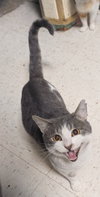 Duncan - KBC - Photo 10