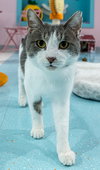 Duncan - KBC - Photo 5