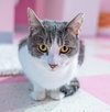 Duncan - KBC - Photo 4