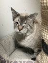 Winston - Photo 5