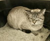 Winston - Photo 4