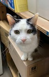 Missy - Photo 2