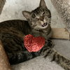 Present - Photo 6