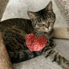 Present - Photo 4