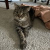Xerxes - Photo 1