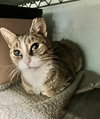 Cindy Lou Who - Photo 8