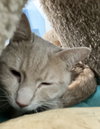 Ilya - Photo 4