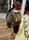 Zeus - Photo 1