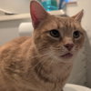 Sparky - Photo 2