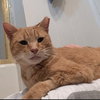 Sparky - Photo 1