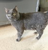 Munch - Photo 5