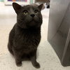 Boris - Photo 3