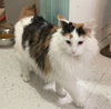 Bonita - Photo 5