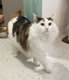 Bonita - Photo 3