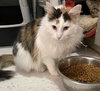 Bonita - Photo 6