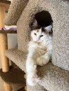 Bonita - Photo 1