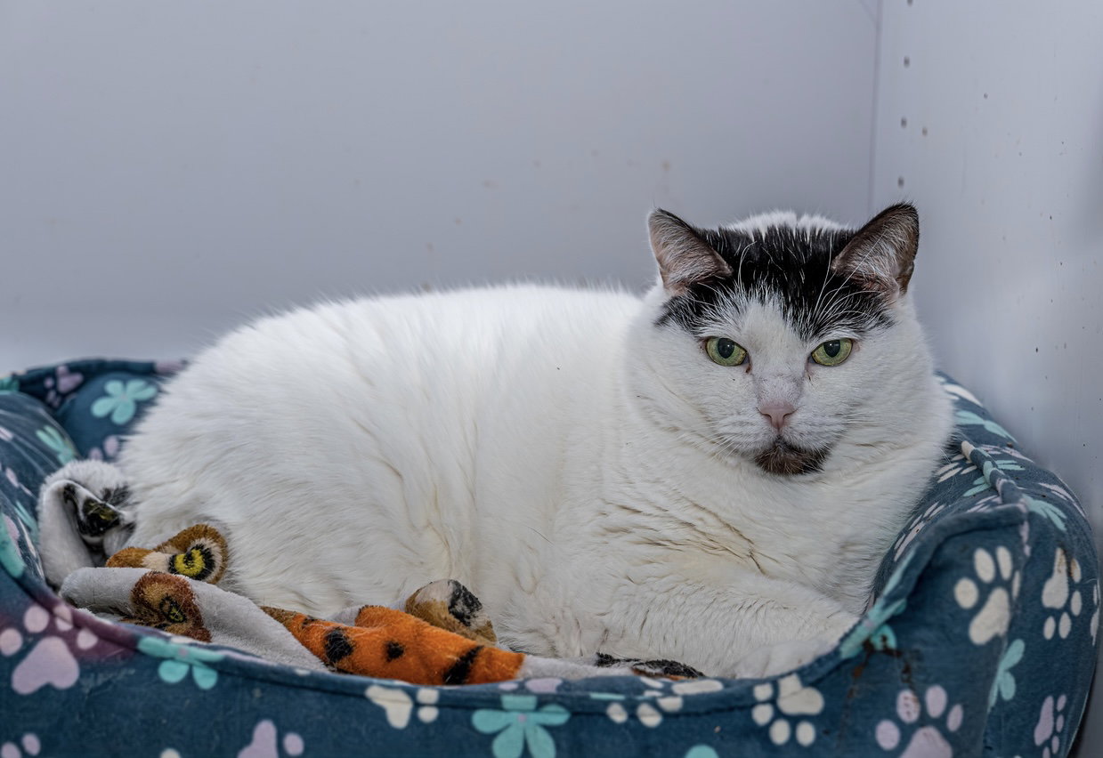 Maggie - KBC Image